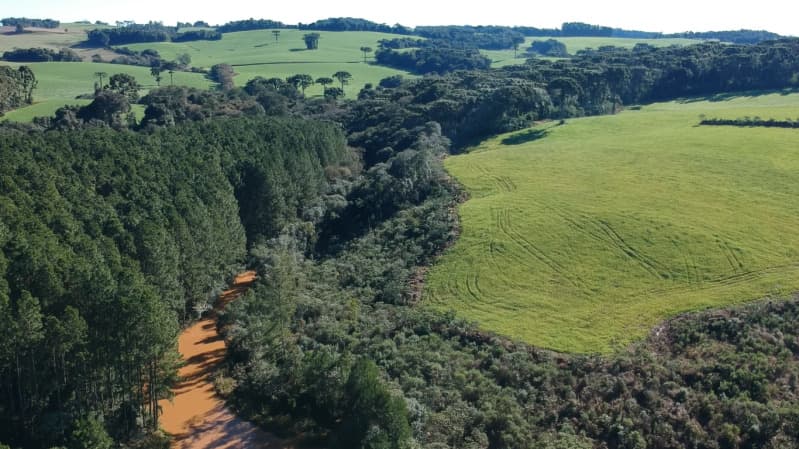 Foto 8 de 8: Area Rural em leilão em Paulo Bento - RS — LOTE 007 A ÁREA DE 20.000,00m² SOBRE O LOTE RURAL Nº 194, da Colônia Paulo Bento, com a área de tota