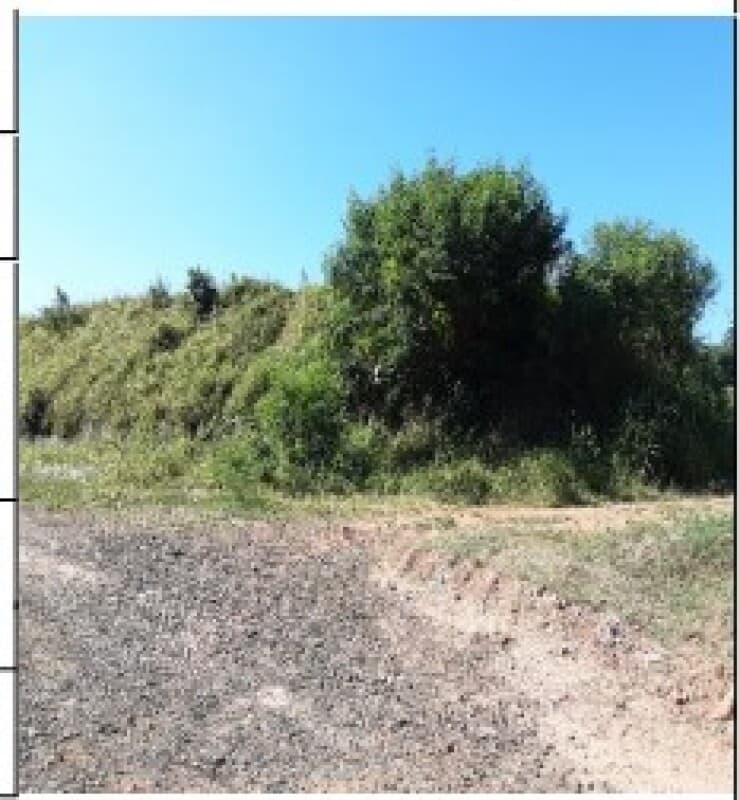 Terreno em leilão em Tambaú - SP — LOTE 476 TERRENO, 10301M2 Tambau/ SP