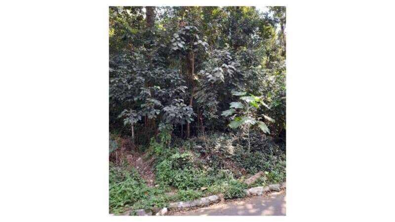 Terreno em leilão em Itapecerica Da Serra - SP — LOTE 079 TERRENO 1.230m² - ITAPECERICA DA SERRA