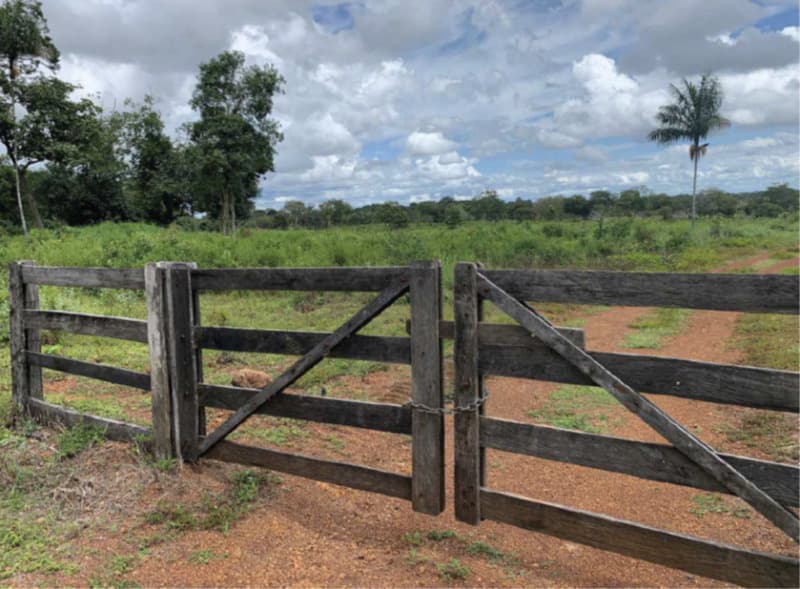 Foto 6 de 8: Area Rural em leilão em Marianópolis Do Tocantins - TO — LOTE 001 50% da Fazenda São Paulo localizada em Marianopolis, Tocantins