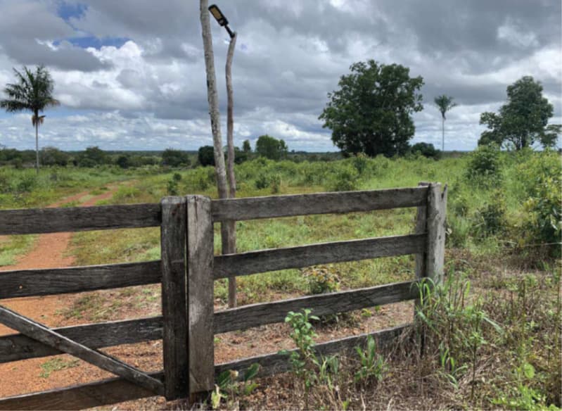 Foto 7 de 8: Area Rural em leilão em Marianópolis Do Tocantins - TO — LOTE 001 50% da Fazenda São Paulo localizada em Marianopolis, Tocantins
