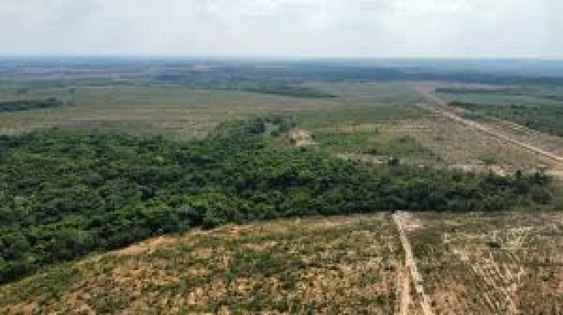 Foto 1 de 12: Area Rural em leilão em Centenário - TO — LOTE 001 Fazenda 7 km da cidade de Centenário, medindo 109 hectares no Loteamento Santa Rosa em Cent