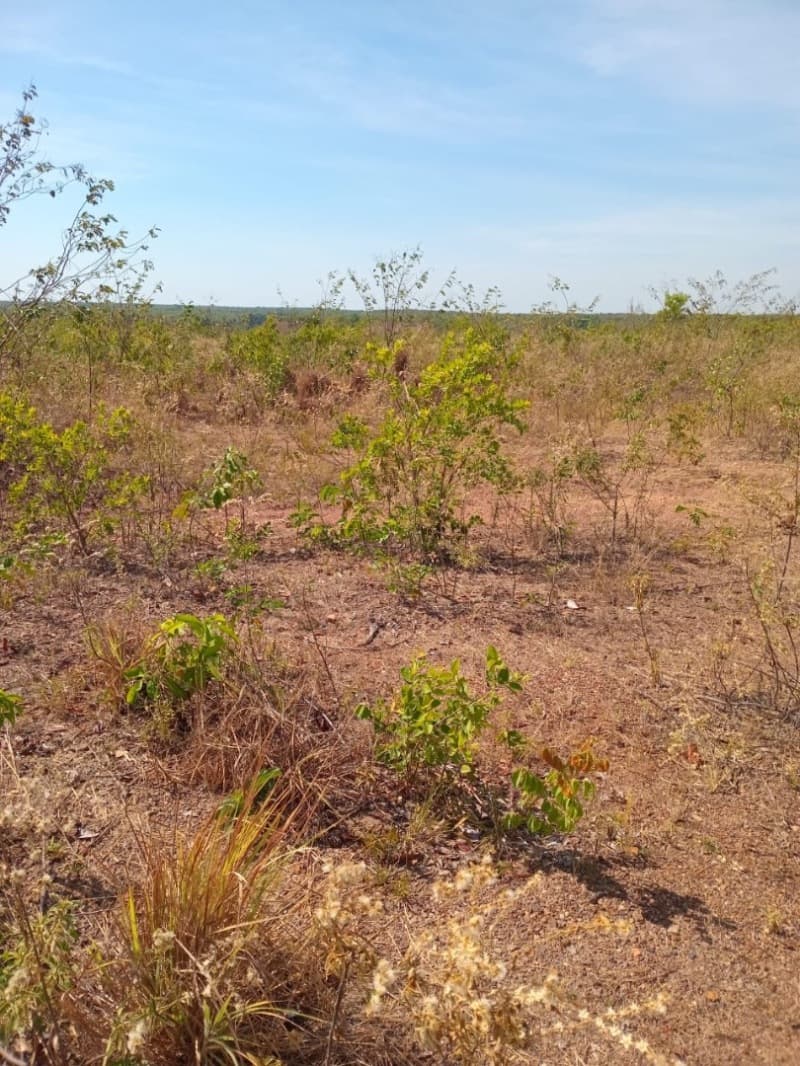 Foto 2 de 12: Area Rural em leilão em Centenário - TO — LOTE 001 Fazenda 7 km da cidade de Centenário, medindo 109 hectares no Loteamento Santa Rosa em Cent