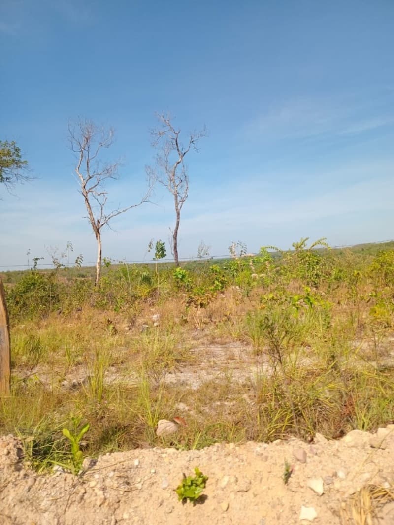 Foto 3 de 12: Area Rural em leilão em Centenário - TO — LOTE 001 Fazenda 7 km da cidade de Centenário, medindo 109 hectares no Loteamento Santa Rosa em Cent