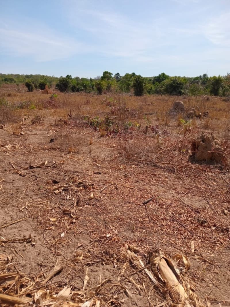 Foto 5 de 12: Area Rural em leilão em Centenário - TO — LOTE 001 Fazenda 7 km da cidade de Centenário, medindo 109 hectares no Loteamento Santa Rosa em Cent
