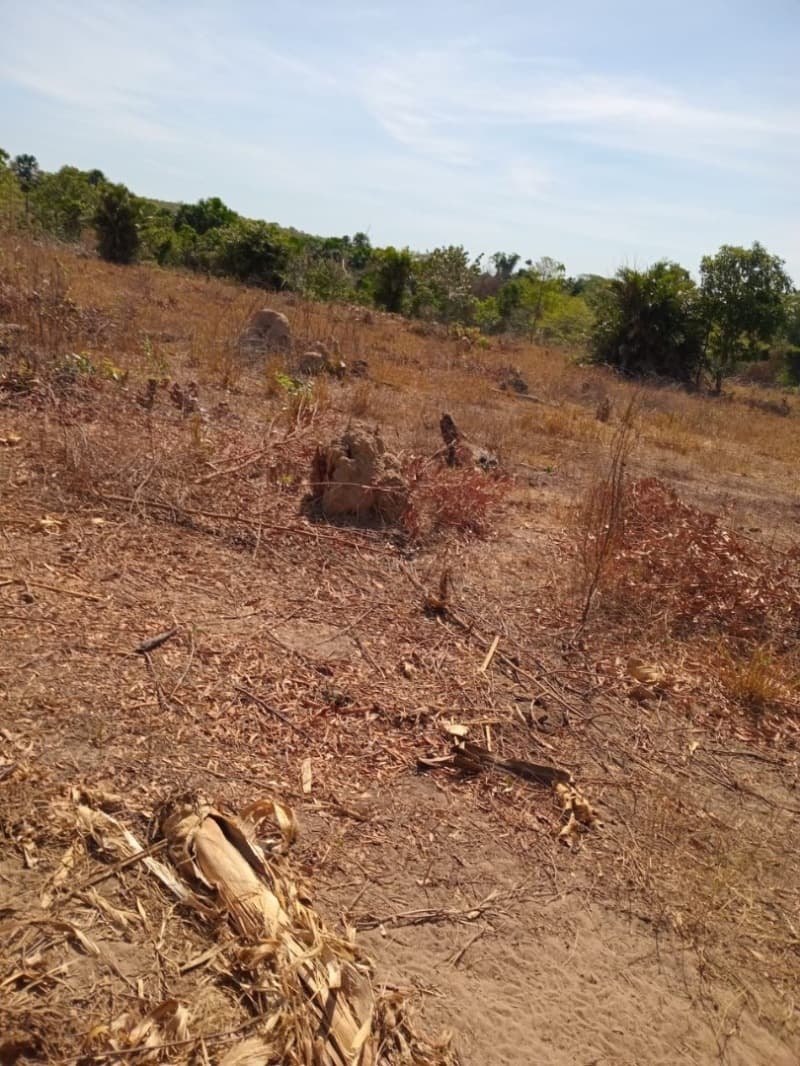 Foto 7 de 12: Area Rural em leilão em Centenário - TO — LOTE 001 Fazenda 7 km da cidade de Centenário, medindo 109 hectares no Loteamento Santa Rosa em Cent