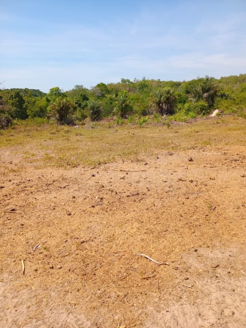 Foto 8 de 12: Area Rural em leilão em Centenário - TO — LOTE 001 Fazenda 7 km da cidade de Centenário, medindo 109 hectares no Loteamento Santa Rosa em Cent