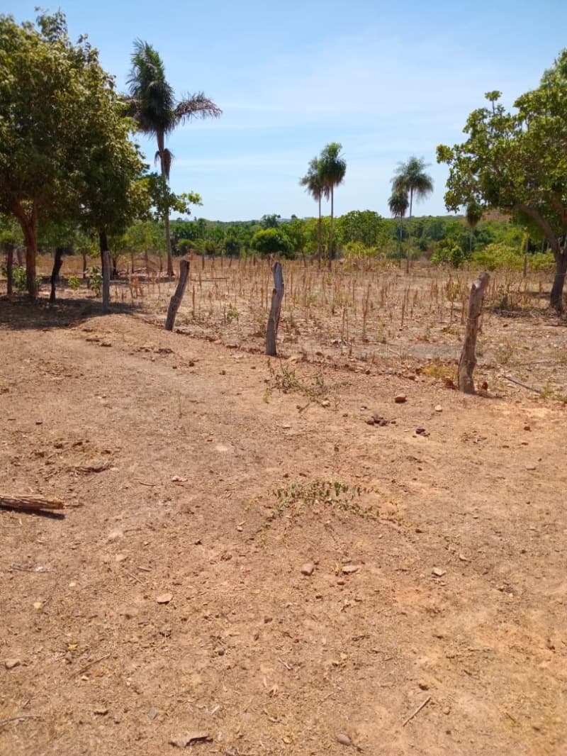 Foto 9 de 12: Area Rural em leilão em Centenário - TO — LOTE 001 Fazenda 7 km da cidade de Centenário, medindo 109 hectares no Loteamento Santa Rosa em Cent