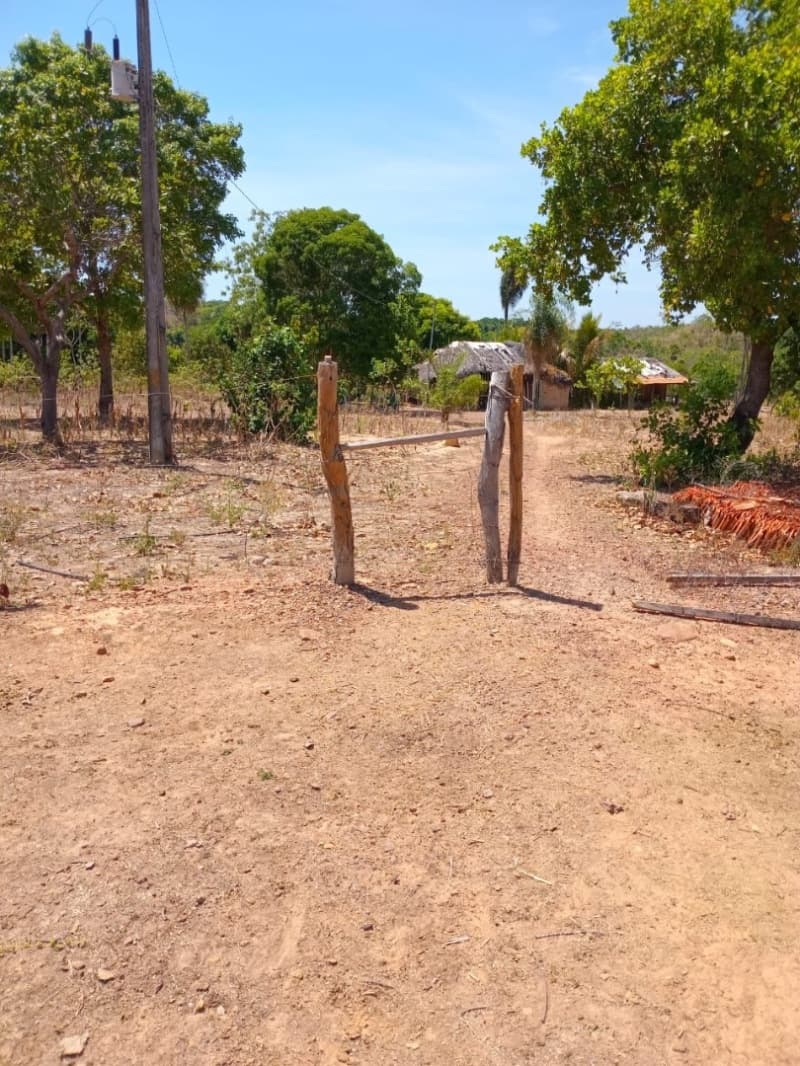 Foto 10 de 12: Area Rural em leilão em Centenário - TO — LOTE 001 Fazenda 7 km da cidade de Centenário, medindo 109 hectares no Loteamento Santa Rosa em Cent