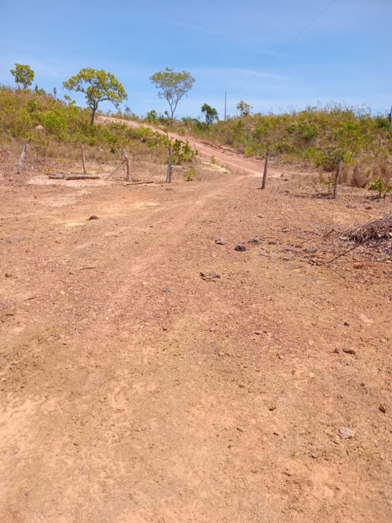 Foto 11 de 12: Area Rural em leilão em Centenário - TO — LOTE 001 Fazenda 7 km da cidade de Centenário, medindo 109 hectares no Loteamento Santa Rosa em Cent