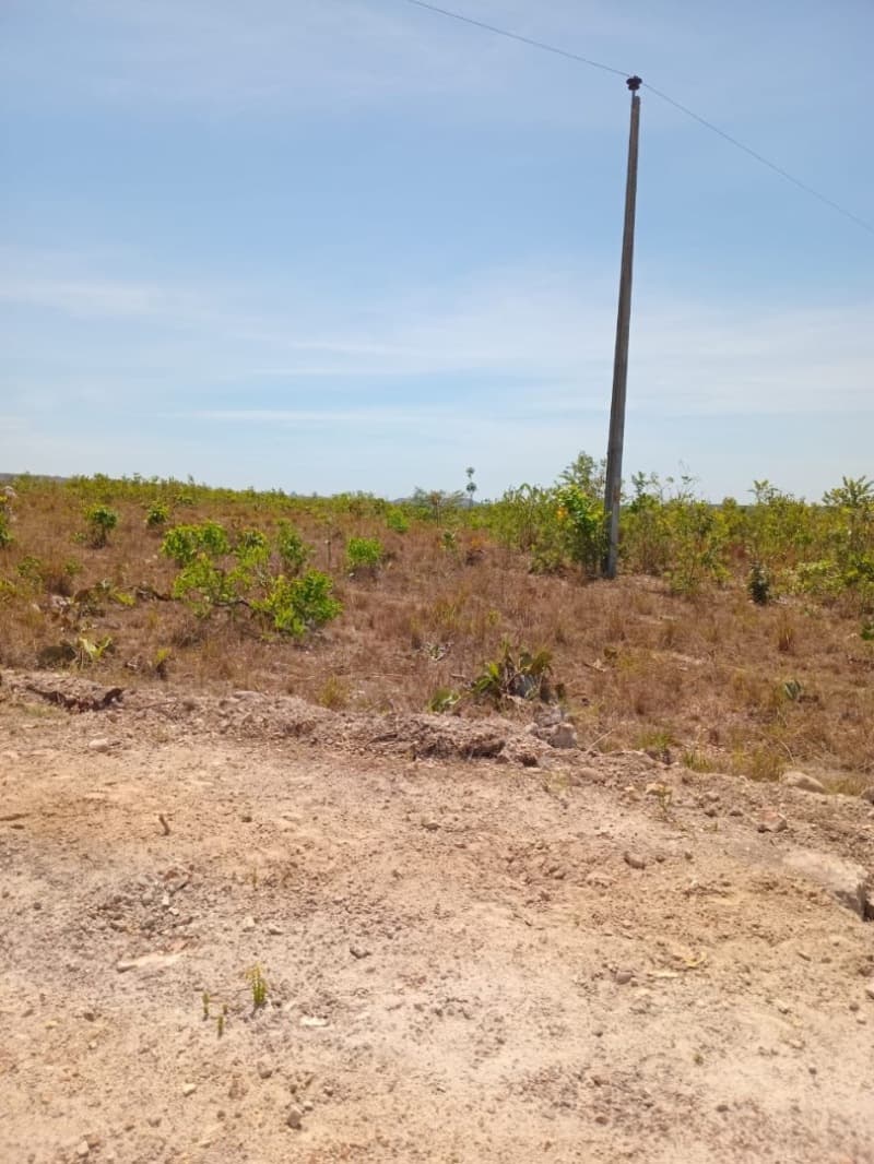 Foto 12 de 12: Area Rural em leilão em Centenário - TO — LOTE 001 Fazenda 7 km da cidade de Centenário, medindo 109 hectares no Loteamento Santa Rosa em Cent