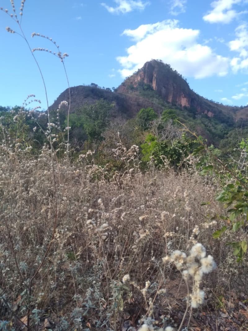 Area Rural em leilão em Recursolândia - TO — LOTE 001 imóvel Rural medindo 27 hectares em Recursolandia TO.