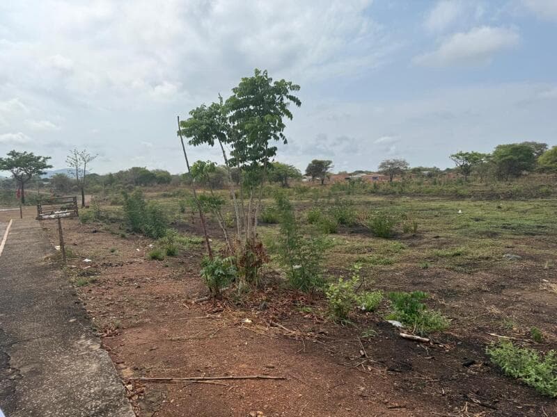 Foto 2 de 8: Imóvel em leilão em Araguacema - TO — LOTE 003 Lote nº 05, da Quadra nº 45, com área de 472,24 m², o qual está matriculado sob o nº 6.145,