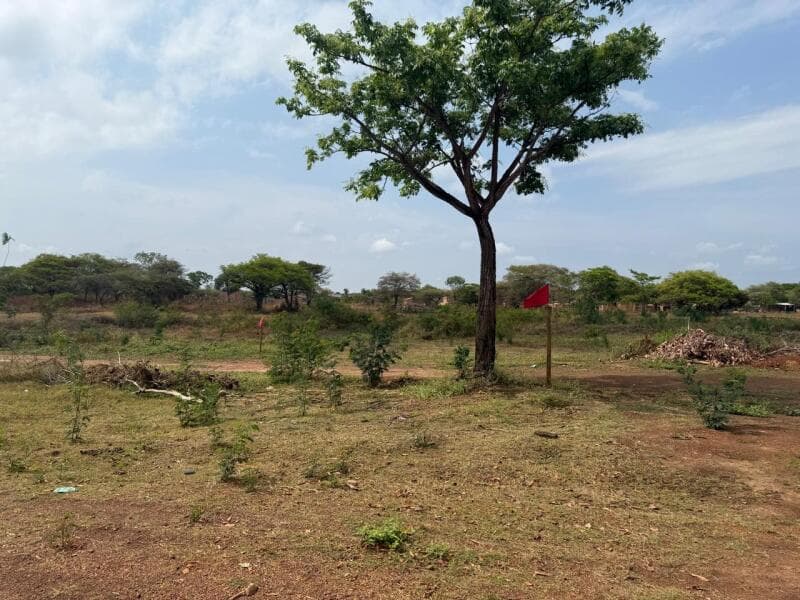 Foto 6 de 6: Imóvel em leilão em Araguacema - TO — LOTE 004 Lote nº 06, da Quadra nº 45, com área de 470,34 m², o qual está matriculado sob o nº 6.146,