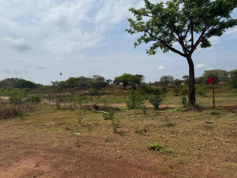 Foto 10 de 11: Imóvel em leilão em Araguacema - TO — LOTE 005 Lote nº 07, da Quadra nº 45, com área de 466,28 m², o qual está matriculado sob o nº 6.147,