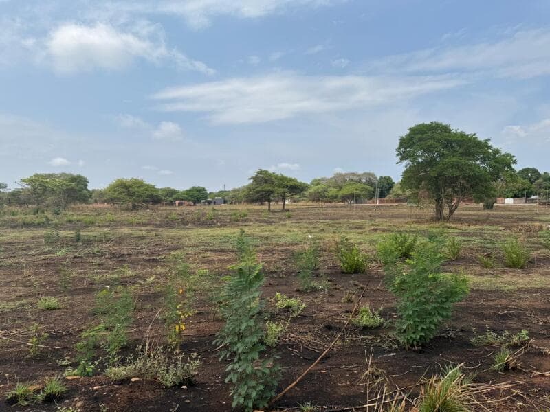 Foto 1 de 4: Imóvel em leilão em Araguacema - TO — LOTE 072 Lote nº 17 da Quadra nº 48, com área de 476,60 m², o qual está matriculado sob o nº 6.215,
