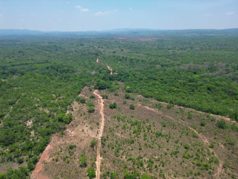 Foto 2 de 7: Area Rural em leilão em Poconé - MT — LOTE 001 Imóvel Rural denominado Fazenda DL com área total de 656,8 hectares, Localizada no Municípi