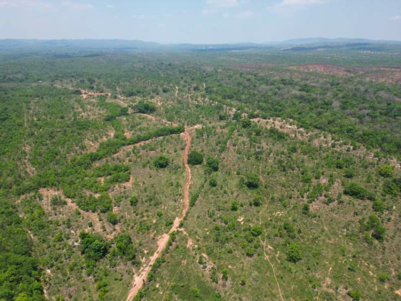 Foto 4 de 7: Area Rural em leilão em Poconé - MT — LOTE 001 Imóvel Rural denominado Fazenda DL com área total de 656,8 hectares, Localizada no Municípi