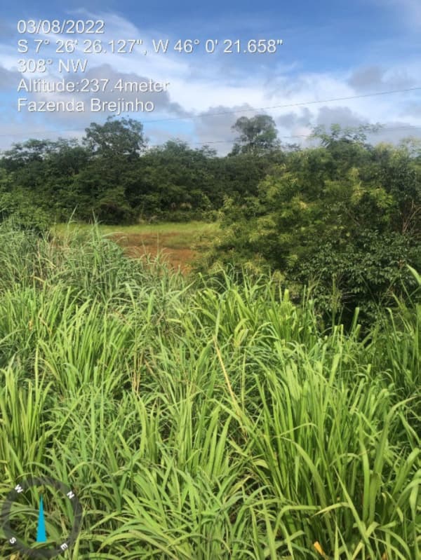 Foto 4 de 17: Area Rural em leilão em Balsas - MA — LOTE 001 Fazenda Brejinho localizada nas margens da BR-230 a 7km do centro de Balsas - MA, medindo 1