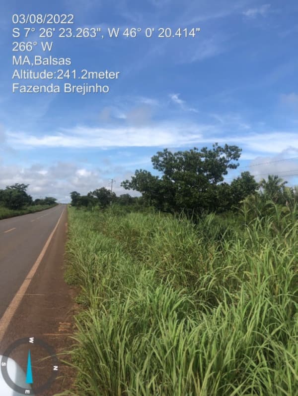 Foto 5 de 17: Area Rural em leilão em Balsas - MA — LOTE 001 Fazenda Brejinho localizada nas margens da BR-230 a 7km do centro de Balsas - MA, medindo 1