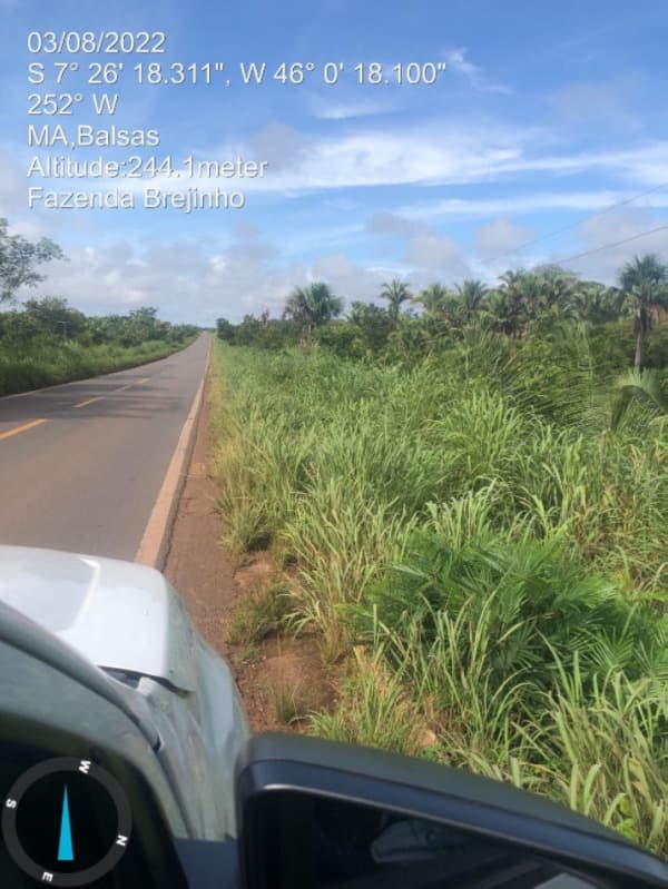 Foto 6 de 17: Area Rural em leilão em Balsas - MA — LOTE 001 Fazenda Brejinho localizada nas margens da BR-230 a 7km do centro de Balsas - MA, medindo 1