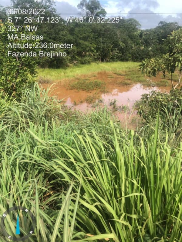 Foto 7 de 17: Area Rural em leilão em Balsas - MA — LOTE 001 Fazenda Brejinho localizada nas margens da BR-230 a 7km do centro de Balsas - MA, medindo 1