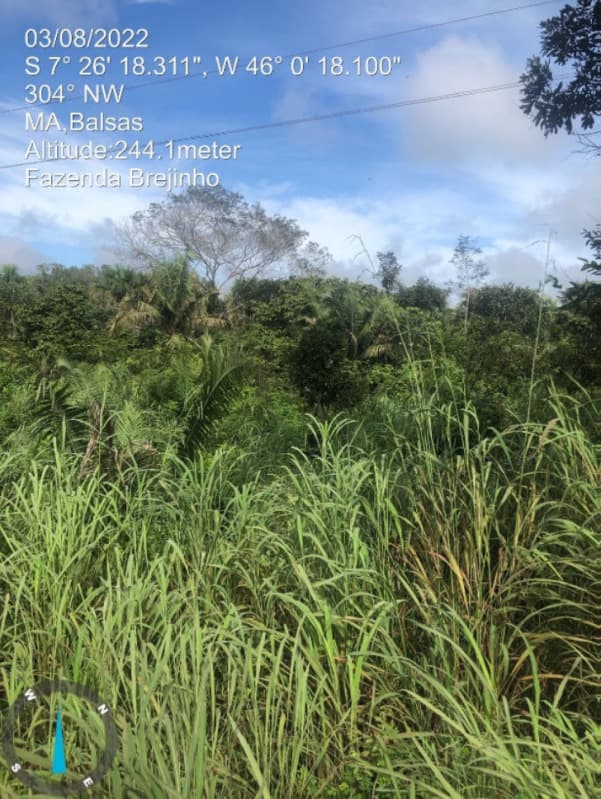 Foto 8 de 17: Area Rural em leilão em Balsas - MA — LOTE 001 Fazenda Brejinho localizada nas margens da BR-230 a 7km do centro de Balsas - MA, medindo 1