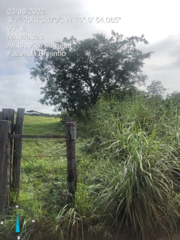 Foto 9 de 17: Area Rural em leilão em Balsas - MA — LOTE 001 Fazenda Brejinho localizada nas margens da BR-230 a 7km do centro de Balsas - MA, medindo 1