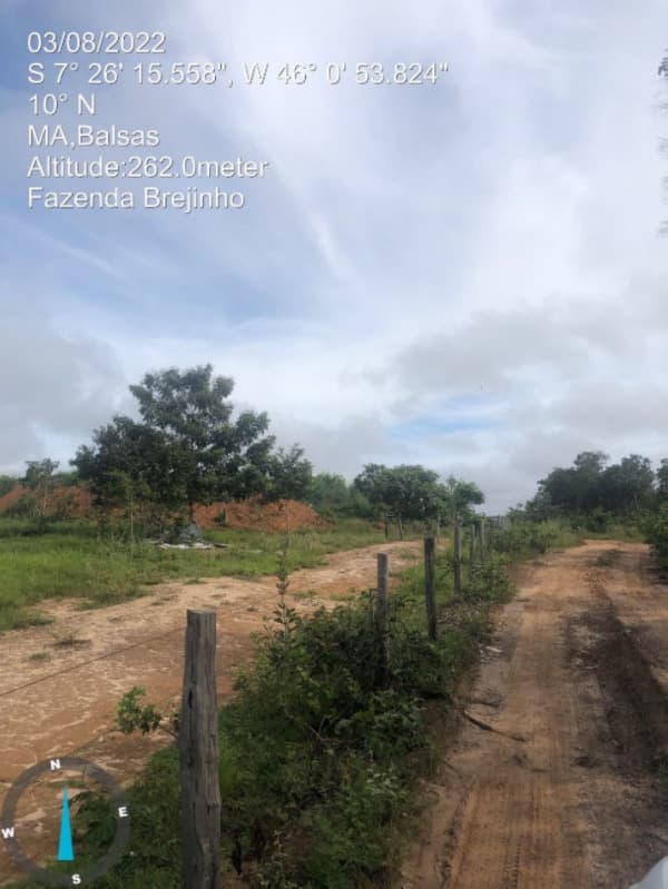 Foto 11 de 17: Area Rural em leilão em Balsas - MA — LOTE 001 Fazenda Brejinho localizada nas margens da BR-230 a 7km do centro de Balsas - MA, medindo 1