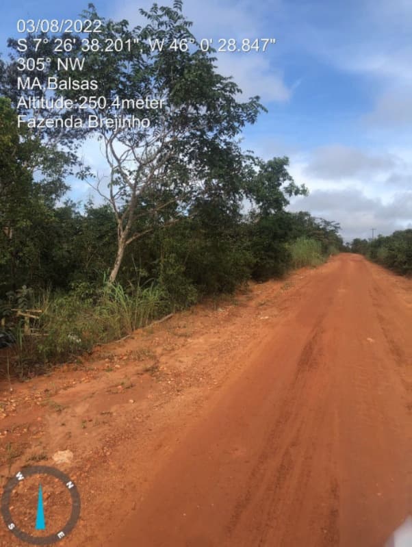 Foto 14 de 17: Area Rural em leilão em Balsas - MA — LOTE 001 Fazenda Brejinho localizada nas margens da BR-230 a 7km do centro de Balsas - MA, medindo 1