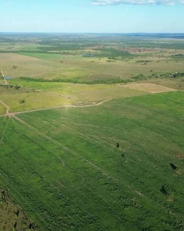 Area Rural em leilão em Marajá Do Sena - MA, bairro Vila Norte — LOTE 001 “FAZENDA SOUSA” localizada no Povoado Vila Norte em Marajá do Sena/MA, medindo 140 hectares