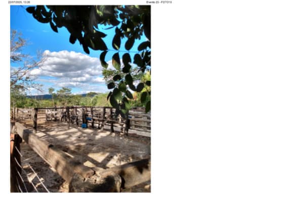 Foto 5 de 16: Area Rural em leilão em Colméia - TO — LOTE 001 FAZENDA DOIS IRMÃOS MEDINDO 13,96 ALQUEIRES EM COLMÉIA, TOCANTINS