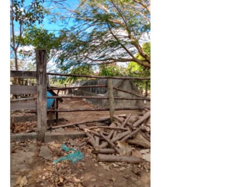 Foto 6 de 16: Area Rural em leilão em Colméia - TO — LOTE 001 FAZENDA DOIS IRMÃOS MEDINDO 13,96 ALQUEIRES EM COLMÉIA, TOCANTINS