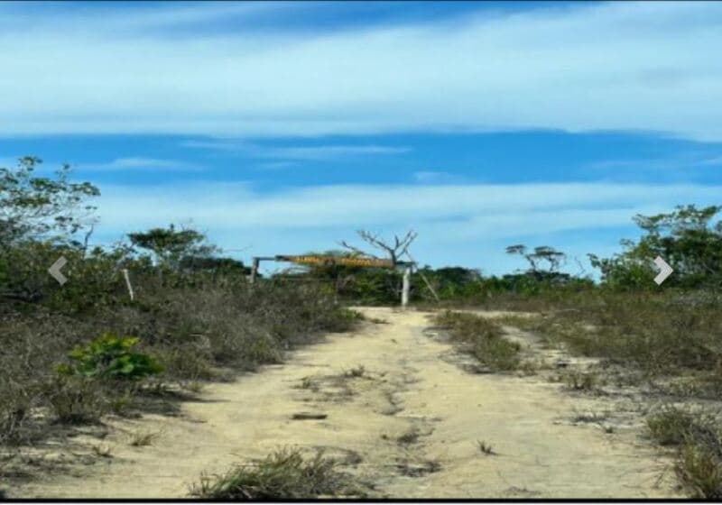 Foto 2 de 3: Terreno em leilão em Santa Cruz Cabrália - BA — LOTE 001-1 TERRENO URBANO - “CAMPO DO SAIBU” - SANTA CRUZ DE CABRÁLIA/BA