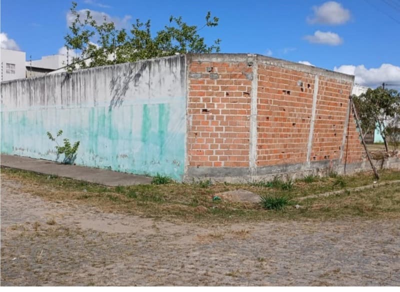 Foto 5 de 6: Terreno em leilão em Itabaiana - SE, bairro Miguel Teles — LOTE 011 UMA ÁREA DE TERRA