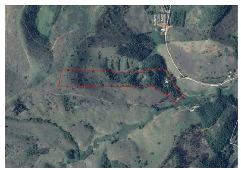Area Rural em leilão em Ubá - MG — LOTE 147 IMOVEL