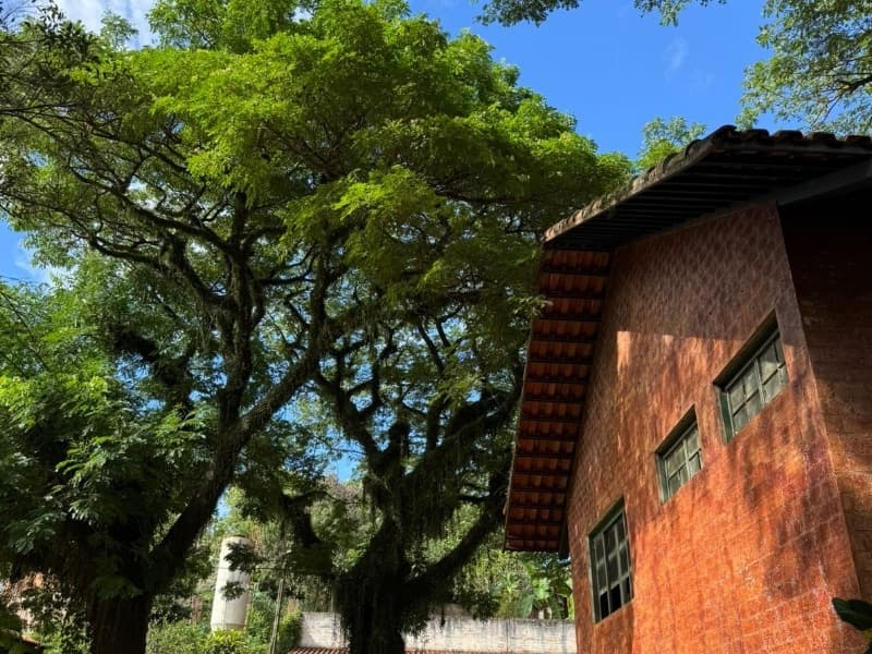 Foto 3 de 29: Comercial em leilão em Lucélia - SP — LOTE 001 Rancho em Lucélia/SP