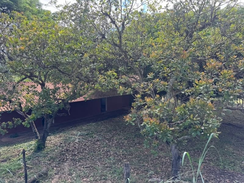 Foto 6 de 29: Comercial em leilão em Lucélia - SP — LOTE 001 Rancho em Lucélia/SP
