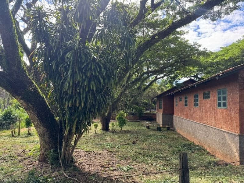 Foto 8 de 29: Comercial em leilão em Lucélia - SP — LOTE 001 Rancho em Lucélia/SP