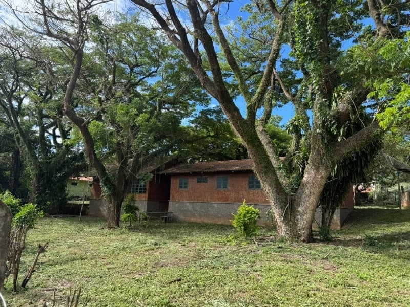 Foto 10 de 29: Comercial em leilão em Lucélia - SP — LOTE 001 Rancho em Lucélia/SP
