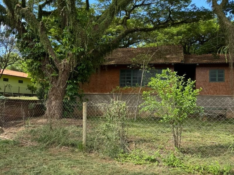 Foto 11 de 29: Comercial em leilão em Lucélia - SP — LOTE 001 Rancho em Lucélia/SP
