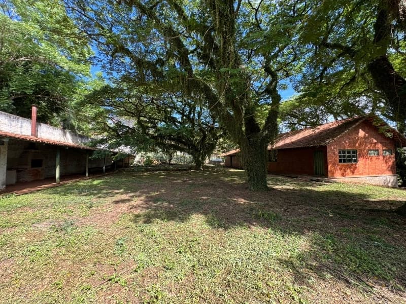 Foto 23 de 29: Comercial em leilão em Lucélia - SP — LOTE 001 Rancho em Lucélia/SP