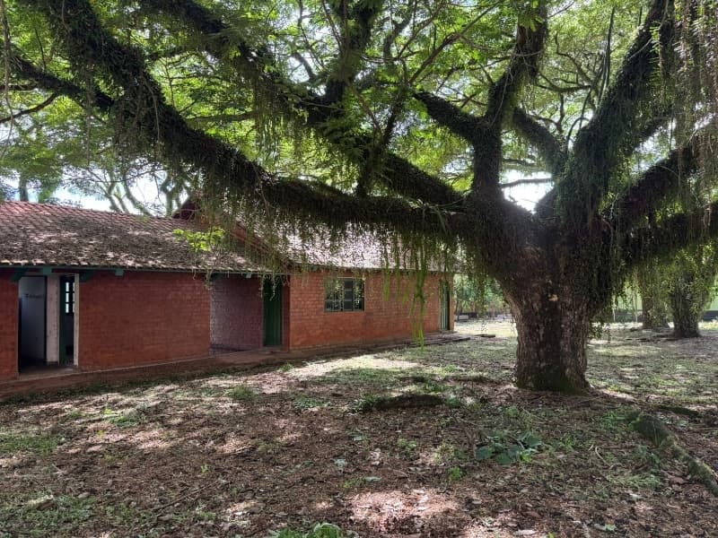 Foto 25 de 29: Comercial em leilão em Lucélia - SP — LOTE 001 Rancho em Lucélia/SP