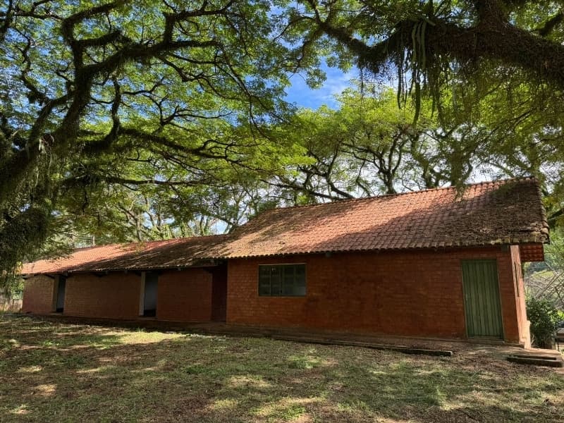 Foto 26 de 29: Comercial em leilão em Lucélia - SP — LOTE 001 Rancho em Lucélia/SP