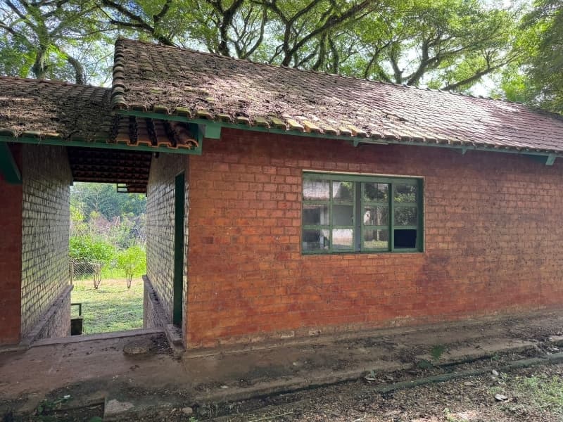 Foto 28 de 29: Comercial em leilão em Lucélia - SP — LOTE 001 Rancho em Lucélia/SP