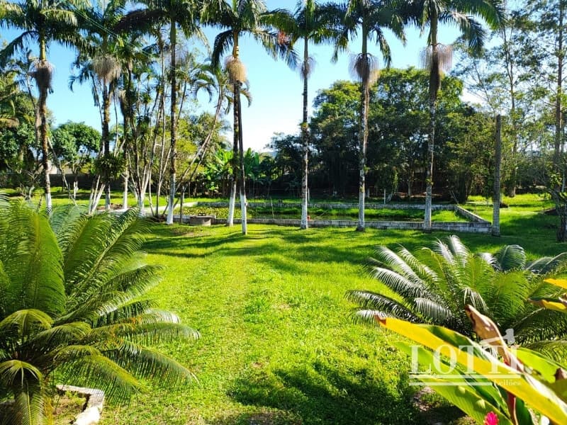Foto 21 de 51: Terreno em leilão em Peruíbe - SP — LOTE 001 Imóveis em Peruibe SP