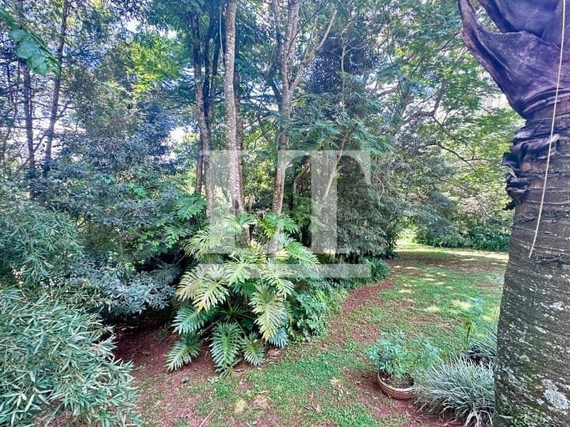Foto 37 de 37: Terreno em leilão em São Roque - SP — LOTE 001 Imóvel em São Roque/SP