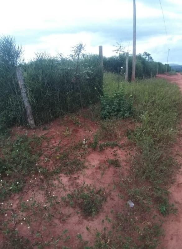 Foto 3 de 5: Area Rural em leilão em Caculé - BA — LOTE 001 01 LOTE RURAL 300M² SEM REGISTRO EM CARTÓRIO NO POVOADO DOS PATOS - CALCULÉ/BA.