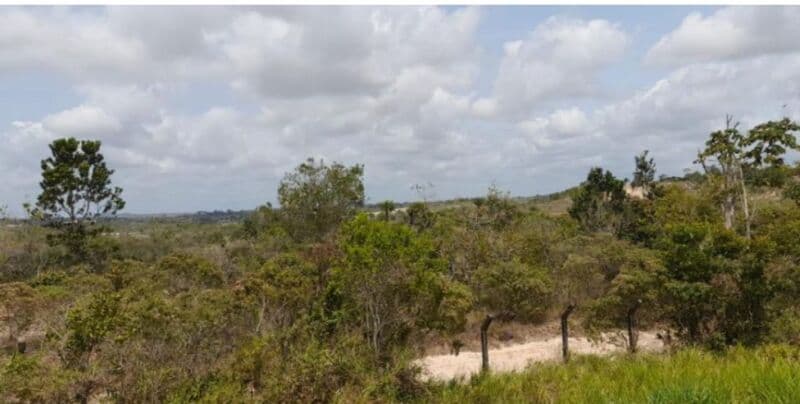 Area Rural em leilão em Camaçari - BA, bairro Coqueiro de Arembepe — LOTE 001 UMA ÁREA DE TERRA PRÓPRIA "FAZENDA ESTIVA", DISTRITO DE ABRANTES, CAMAÇARI, BAHIA, ÁREA TOT