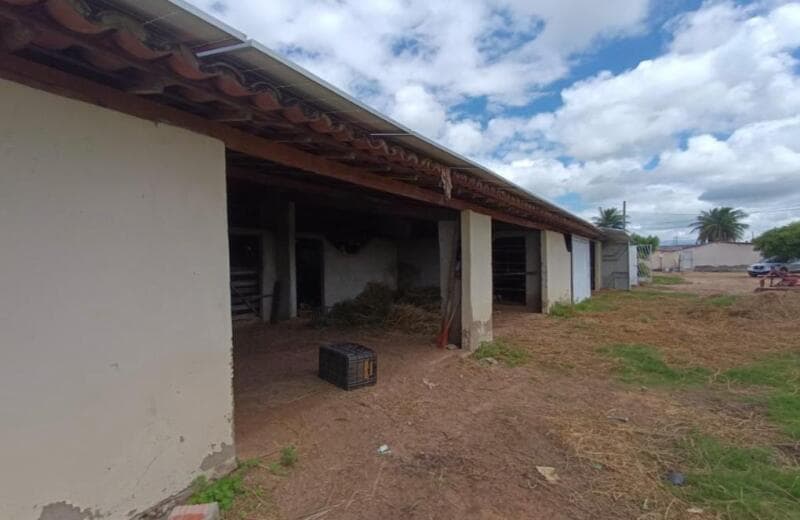 Foto 21 de 23: Area Rural em leilão em Juazeiro - BA — LOTE 001 UM IMÓVEL RURAL/ ÁREA IRRIGAVEL / PROJETO CURAÇA – 80,23 HA, COM DIVERSAS BENFEITORIAS, EM